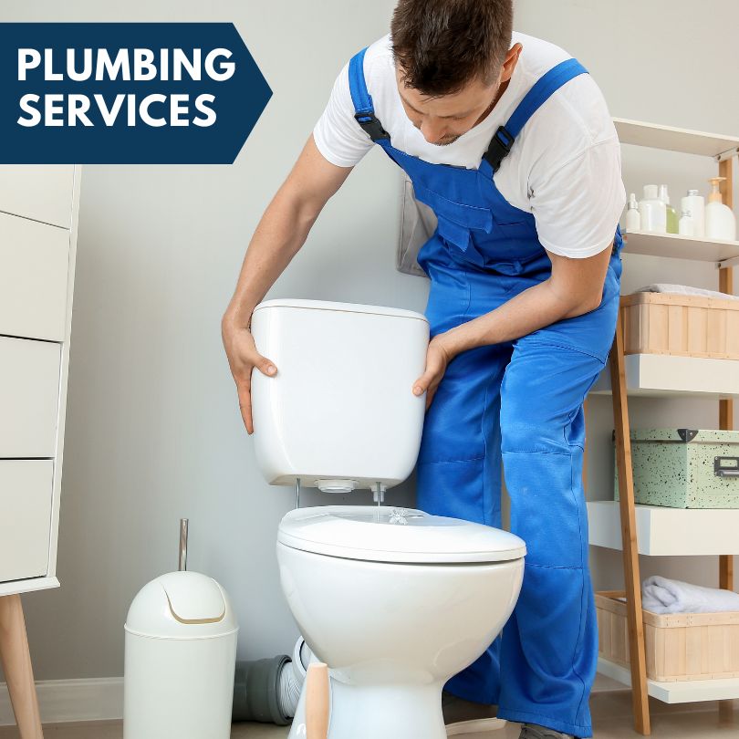 Plumbing Company in South Lyon, MI